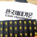 한국체대 가온 태권도 이미지