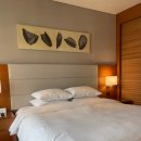 (주)해피베드 | [판교 메리어트 호텔] 킹베드룸 이그제큐티브 라운지 이용후기 (조식,해피아워 내돈내산)