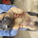 소답동143 이미지