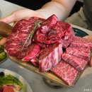 상록한우 이미지