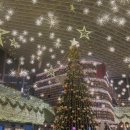 오르프 음악 예술여행(지적) | 지적자본론 (ft. 츠타야 서점)