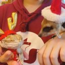 마리앤쥬 이미지