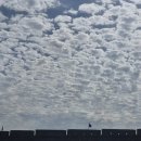 주성상사 이미지