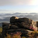 대덕중학교 이미지