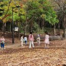 작은숲  어린이집 이미지