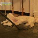 종일농장 이미지