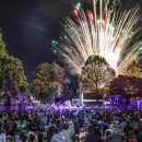 2025 수원연극축제 <숲속의 파티> 이미지