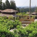 세도나제주풀빌라 민박 | 세도나 중문 풀빌라 제주 독채 감성숙소 후기