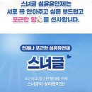 첨단기업로2L(2)-1 | 찾는다면? '스너글 초고농축 섬유유연제 오리지널 허거블 코튼 본품, 2L, 1개' 내돈내산 구매 솔직후기