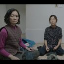 김연교 카카오 검색결과