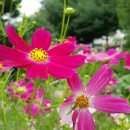 양주송천캠핑장 이미지