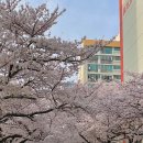 삼익비치타운아파트 이미지