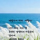 대도 Daum카페