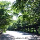 화양삼거리 이미지