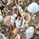 장곡펜션 이미지