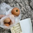강진 | 강진 푸소 후기, 강진 한실농박