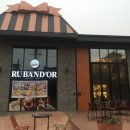 사파동267 이미지