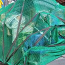 스피드 용달 이미지