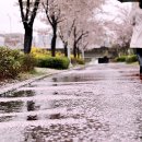 한내근린공원 이미지