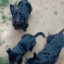 아토농장 이미지