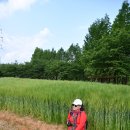 갤러리순 이미지