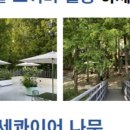 빅트리