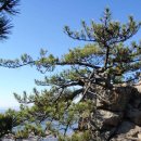 경일경로당 이미지