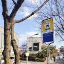 포스파크.띠아모 이미지