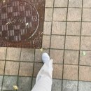 의료법인자인의료재단 이미지