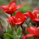 화랑태권도 | 경기도 광주시 화랑태권도, 후기, 연락처, 주차