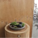 레푸기움 이미지