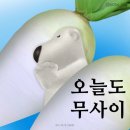 내일도 무사이