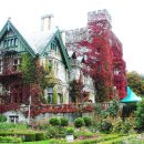 고색창연 이미지