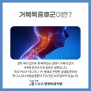 구룡컴퓨터 이미지
