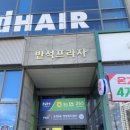 애쁨속눈썹