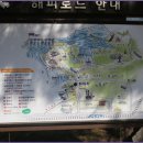 해피로드