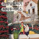 청평역관광안내소 | 경기도 가평 시티투어 버스 시간표 당일치기 뚜벅이여행 겨울 추천 코스