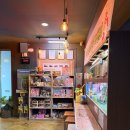 자연아놀자박물관 | 강릉 아이랑 자연아놀자 강릉생태체험 박물관 솔직후기