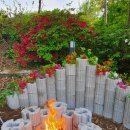 전원의 낭만 이미지