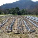 신리농장 이미지