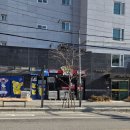 조마루감자탕 의정부점 | 의정부 피자 맛집, 가능동 피자 맛집 "탐나는피자 의정부점"