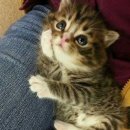 몽글몽글 이미지