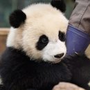 중용으로 배우는 삶의 지혜 이미지