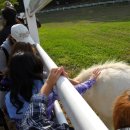 보미목장 이미지