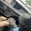 어보브 블루 C 이미지