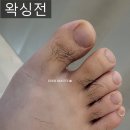 그랑트리뷰티