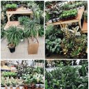 히포힐스 이미지