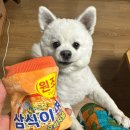 견이로운상점