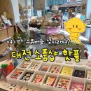꽃다비카페 | 대전 소품샵 추천 프렐류드 The Prelude Shop 유튜브에 나온 곳