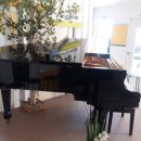 신성음악학원 이미지